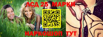 шишки Лесосибирск