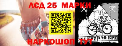 шишки Лесосибирск