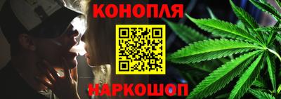шишки Лесосибирск