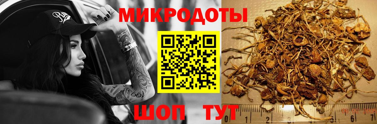 Галлюциногенные грибы MAGIC MUSHROOMS  Вход с VPN  Знаменск 